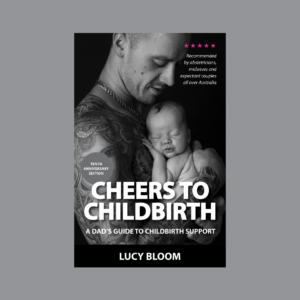 Cheers to Childbirth - ebook all formats